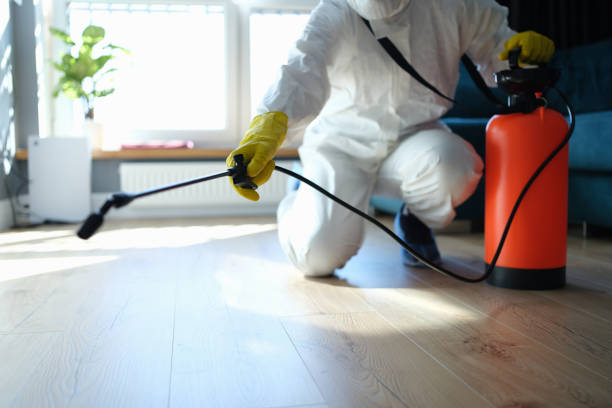 Reliable Infectious Disease Decontamination contractor in Chinese Camp, CA by Trauma Clean Pros